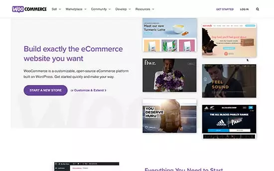 woocommercewebsite